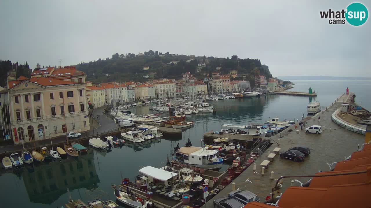 Live webcam da Pirano “Mandrač” – Splendida vista live da Villa Piranesi