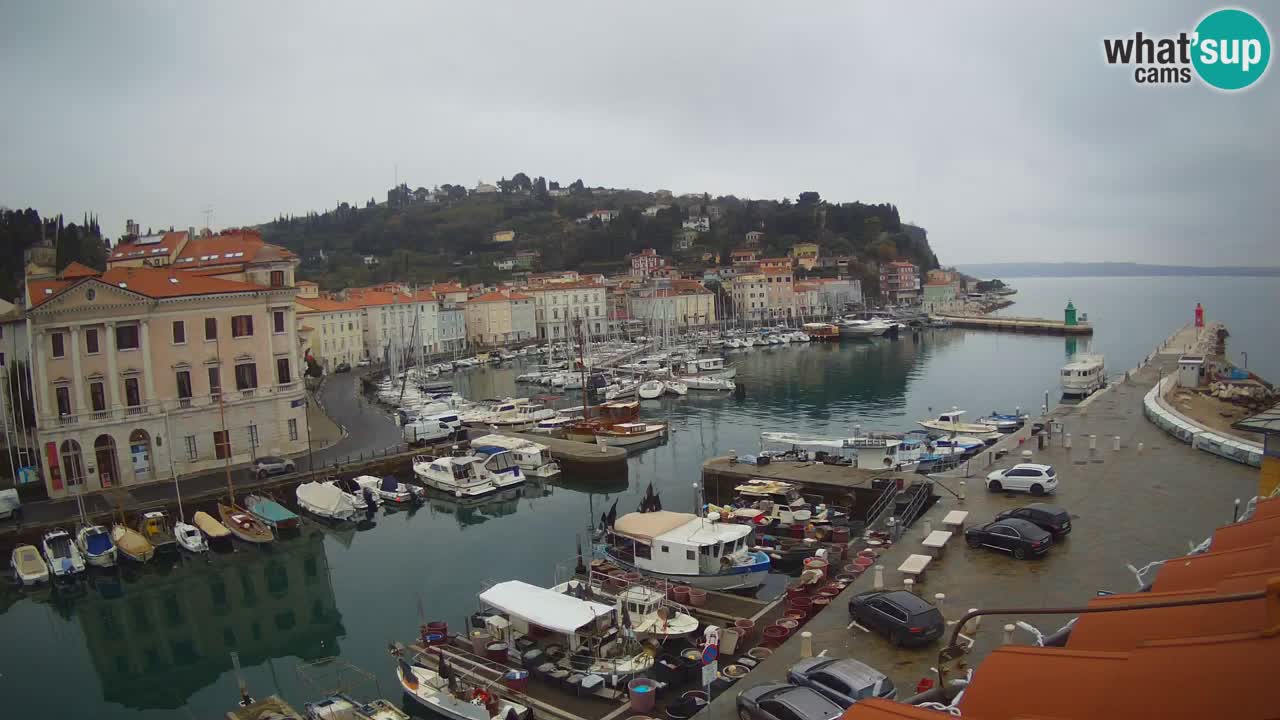 Live-Webcam aus Piran “Mandrač” – Erstaunliche Live-Ansicht von Villa Piranesi