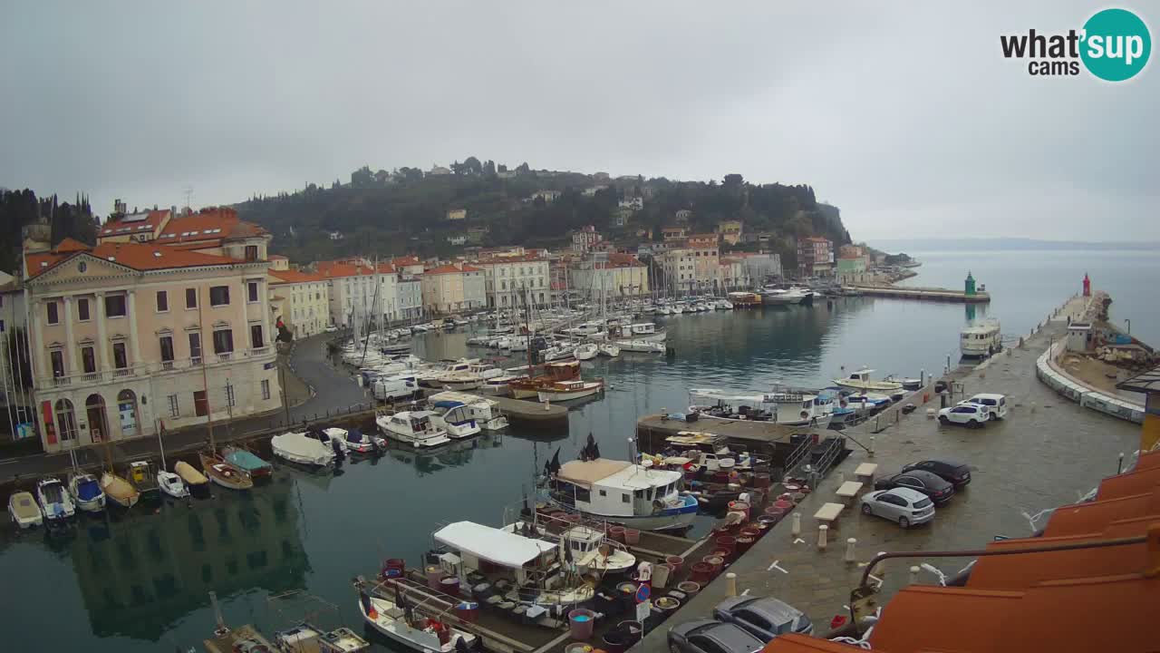 Live webcam from Piran “Mandrač” – Amazing live view from Villa Piranesi