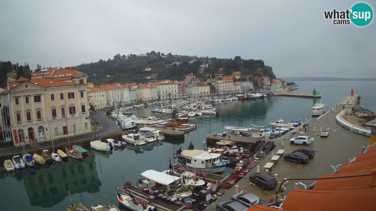 Live webcam from Piran “Mandrač” – Amazing live view from Villa Piranesi