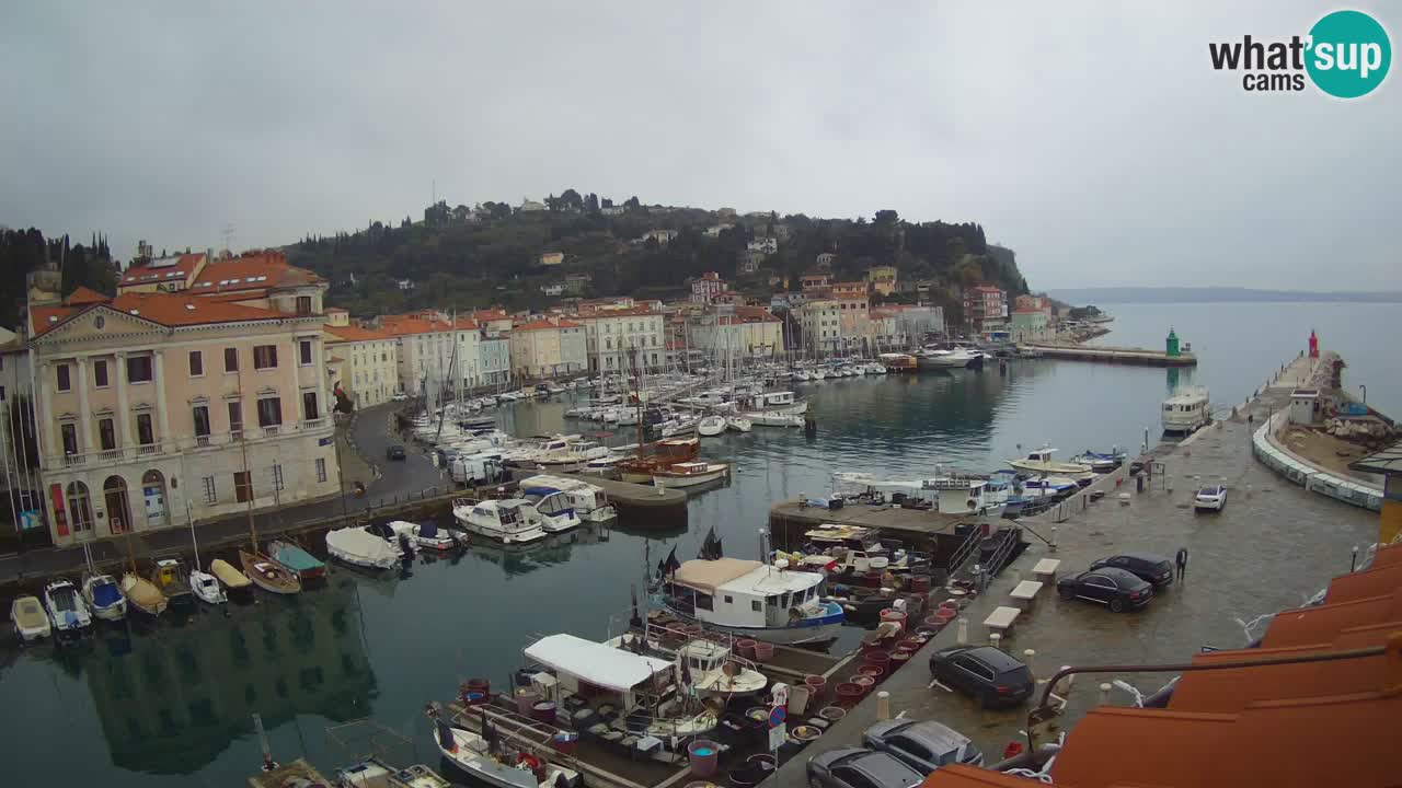 Iz Pirana Spletna kamera v živo “Mandrač” – Neverjeten pogled v živo iz Vile Piranesi