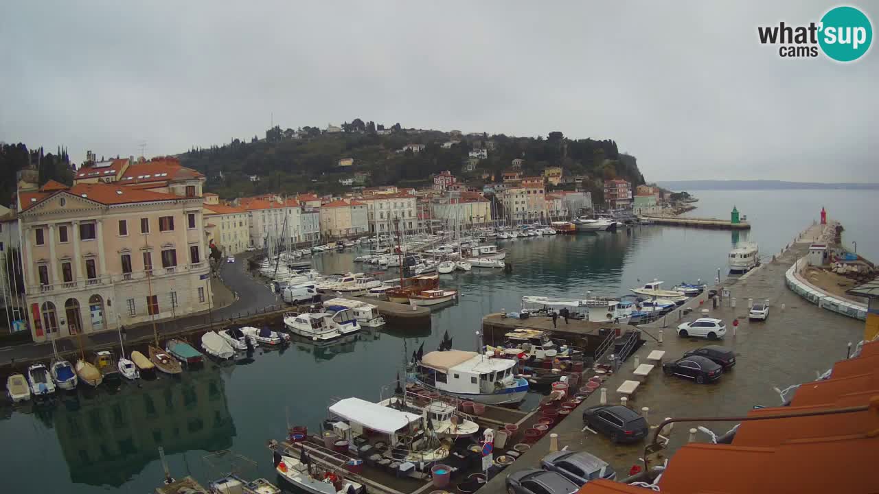 Cámara web en vivo desde Piran “Mandrač” – Increíble vista en vivo desde Villa Piranesi