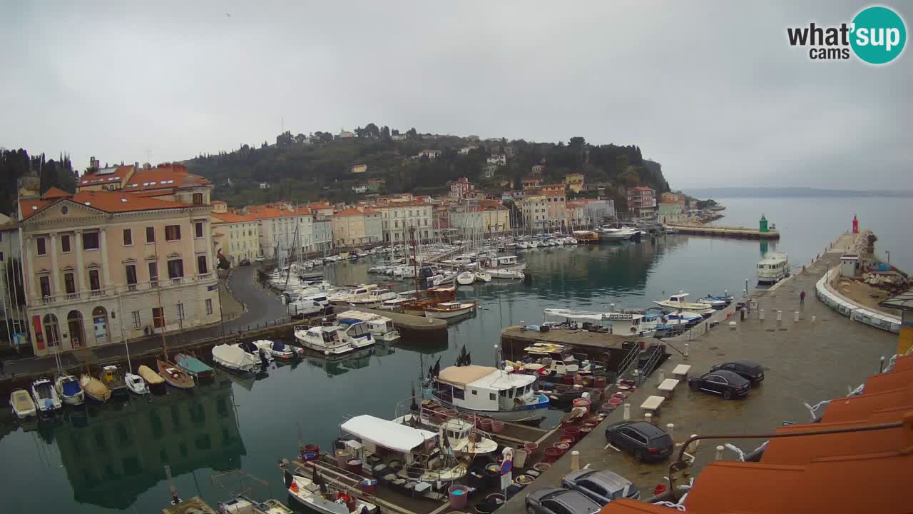 Live webcam from Piran “Mandrač” – Amazing live view from Villa Piranesi