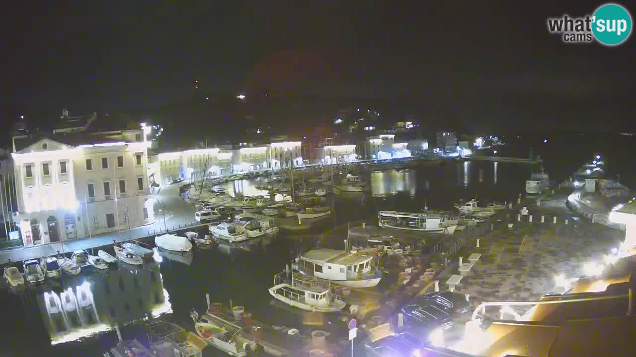 Iz Pirana Spletna kamera v živo “Mandrač” – Neverjeten pogled v živo iz Vile Piranesi