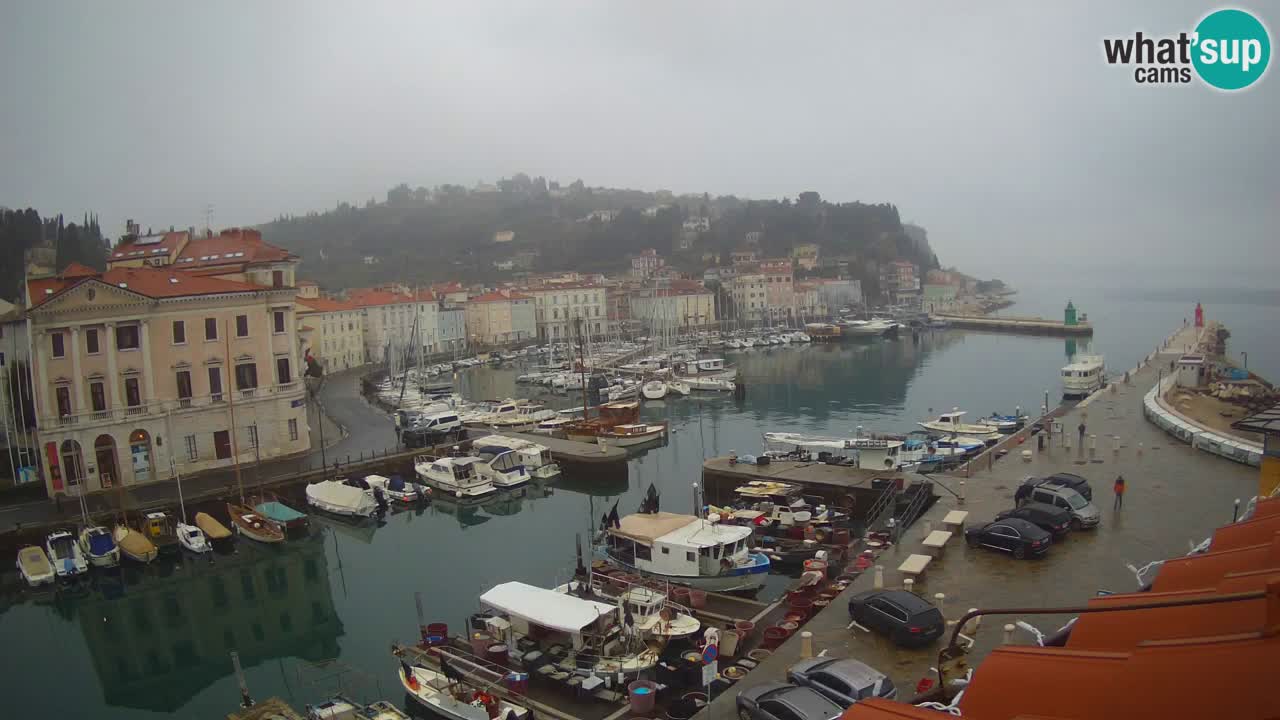 Iz Pirana Spletna kamera v živo “Mandrač” – Neverjeten pogled v živo iz Vile Piranesi