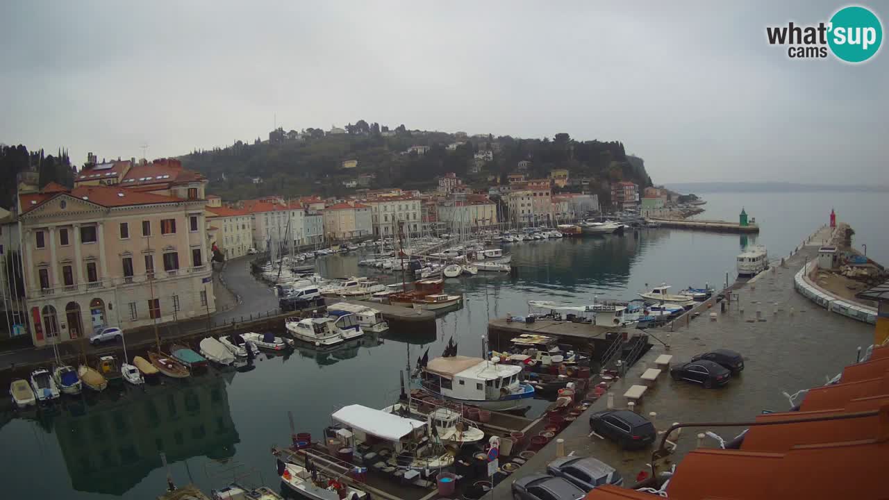 Webcam en direct de Piran “Mandrač” – Incroyable vue en direct de la Villa Piranesi