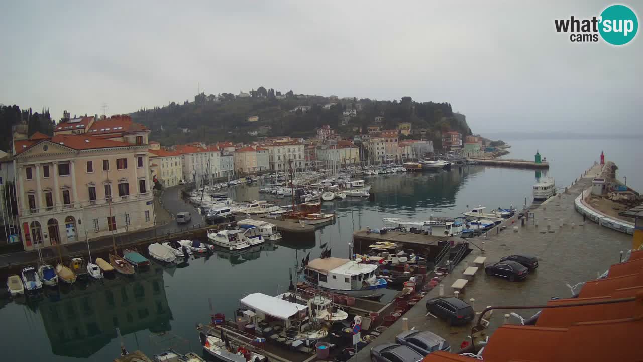 Live webcam da Pirano “Mandrač” – Splendida vista live da Villa Piranesi