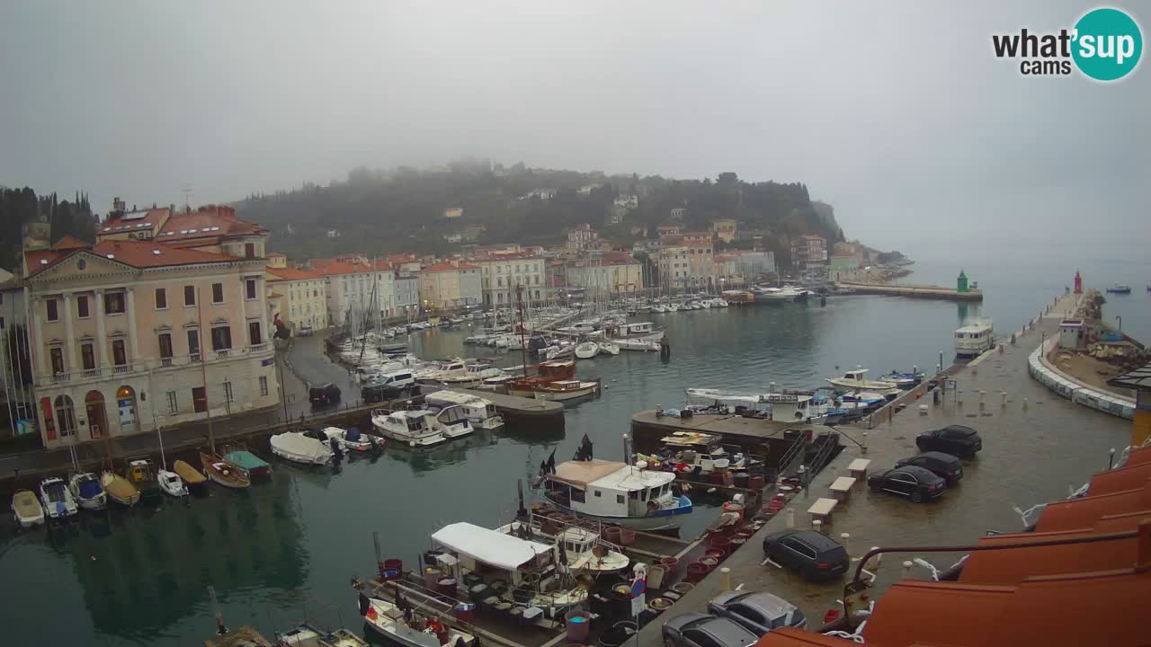 Web kamera uživo iz Pirana “Mandrač” – Nevjerojatan pogled uživo iz Ville Piranesi