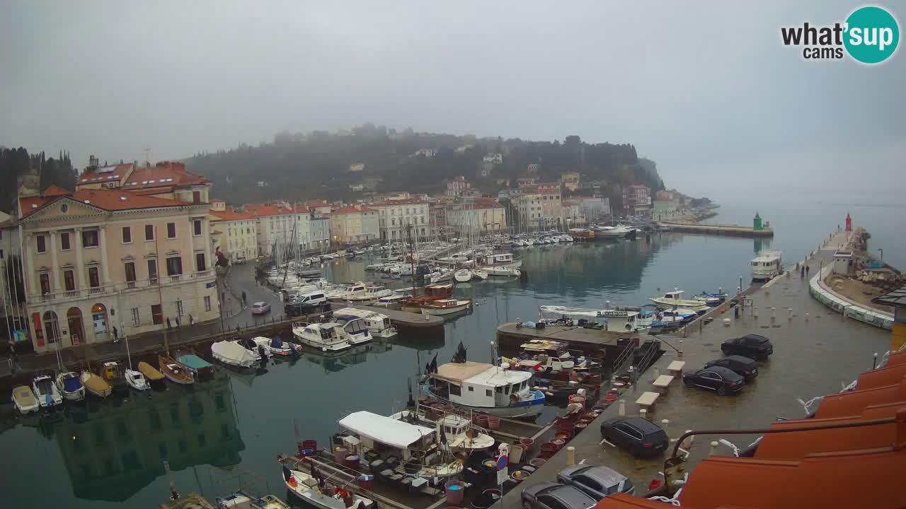 Live webcam from Piran “Mandrač” – Amazing live view from Villa Piranesi