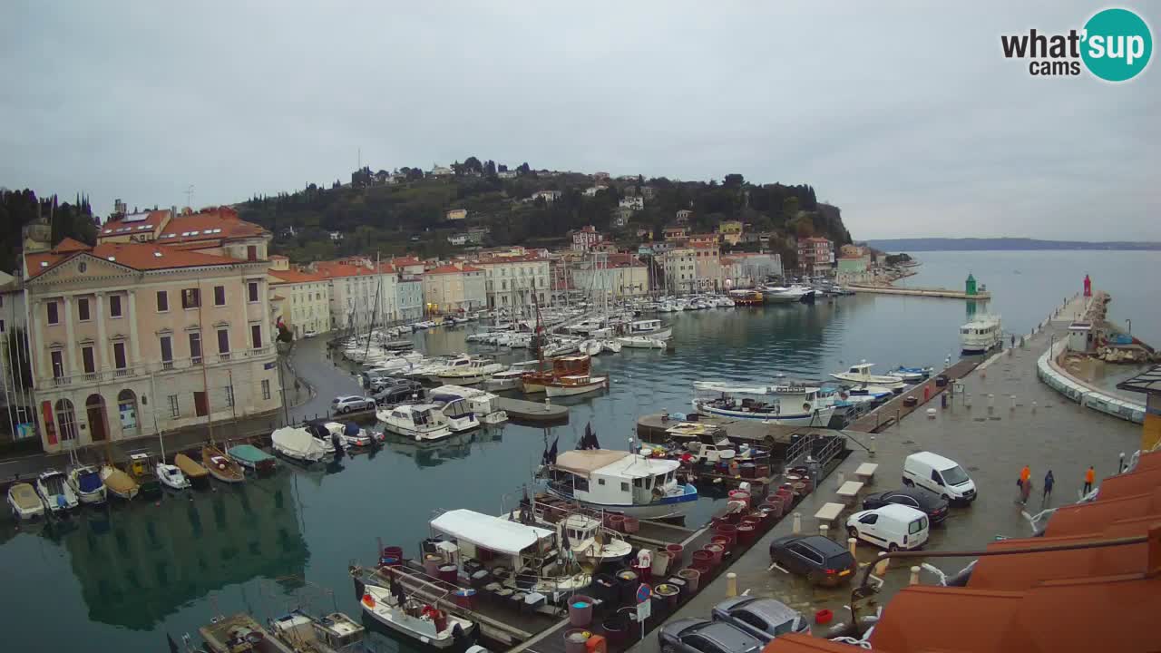 Live webcam from Piran “Mandrač” – Amazing live view from Villa Piranesi