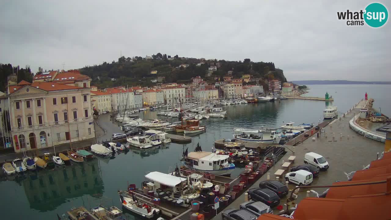Live webcam from Piran “Mandrač” – Amazing live view from Villa Piranesi