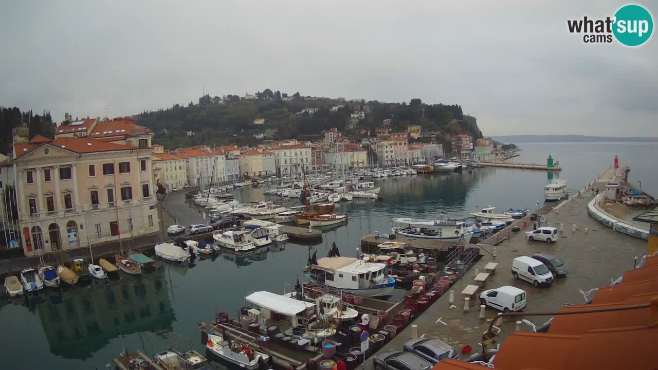 Web kamera uživo iz Pirana “Mandrač” – Nevjerojatan pogled uživo iz Ville Piranesi