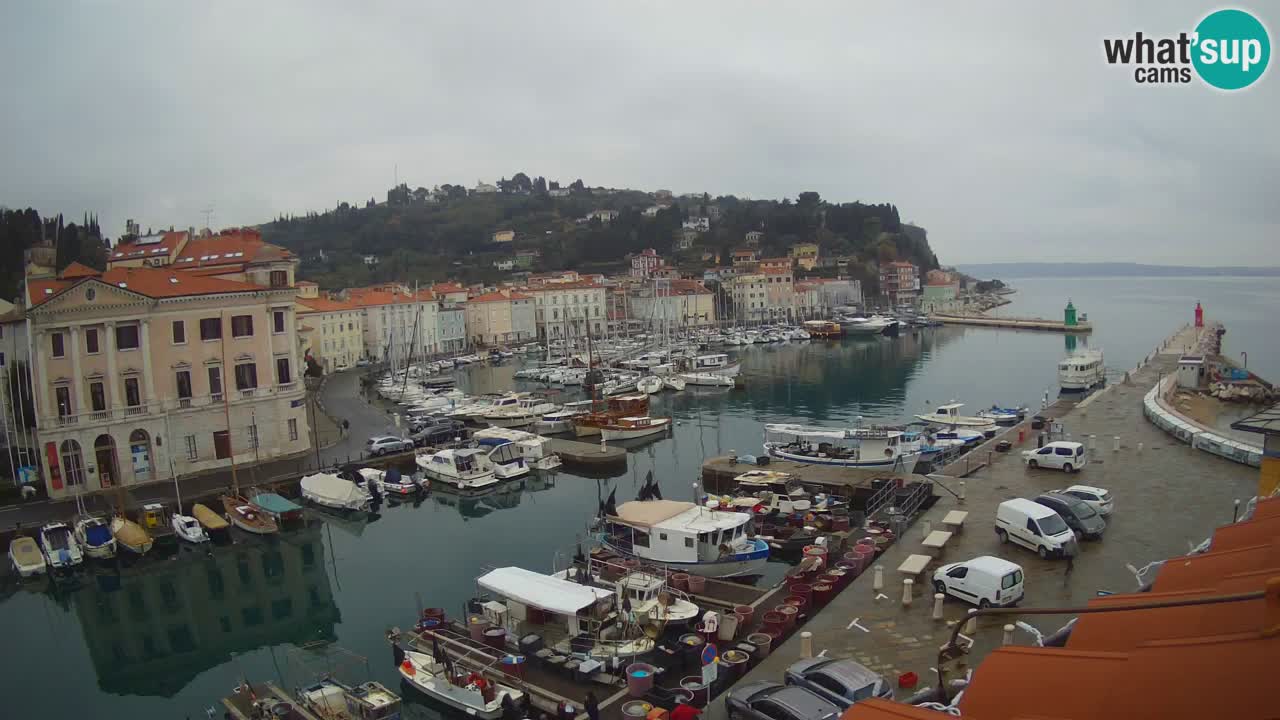 Web kamera uživo iz Pirana “Mandrač” – Nevjerojatan pogled uživo iz Ville Piranesi