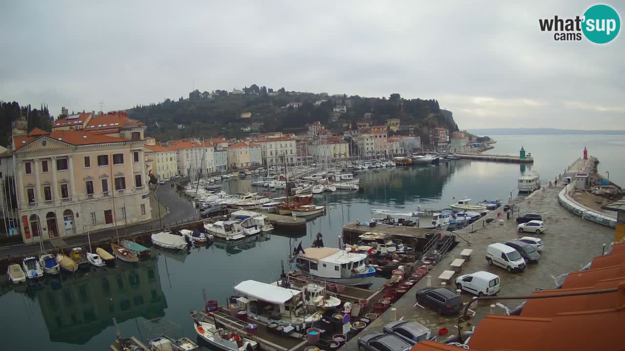 Web kamera uživo iz Pirana “Mandrač” – Nevjerojatan pogled uživo iz Ville Piranesi