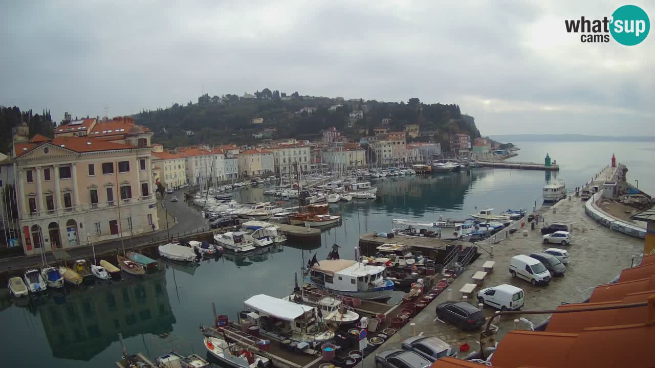 Web kamera uživo iz Pirana “Mandrač” – Nevjerojatan pogled uživo iz Ville Piranesi