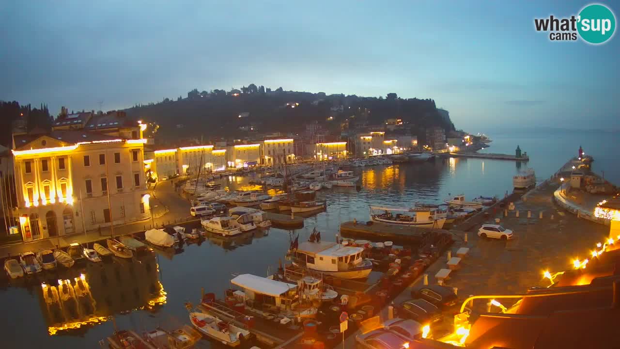 Web kamera uživo iz Pirana “Mandrač” – Nevjerojatan pogled uživo iz Ville Piranesi