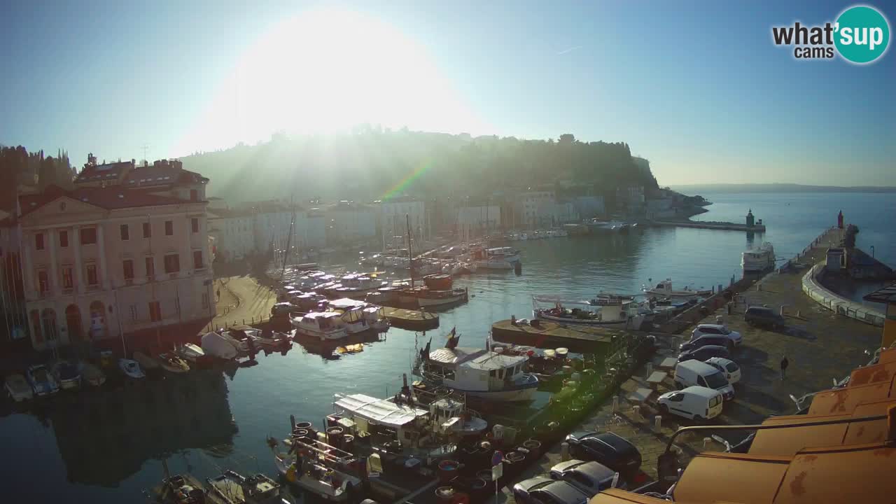 Iz Pirana Spletna kamera v živo “Mandrač” – Neverjeten pogled v živo iz Vile Piranesi