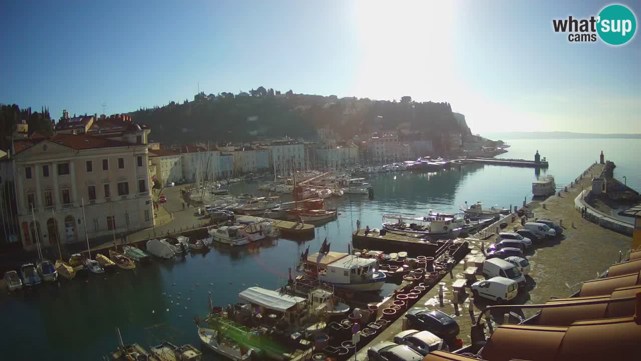 Iz Pirana Spletna kamera v živo “Mandrač” – Neverjeten pogled v živo iz Vile Piranesi