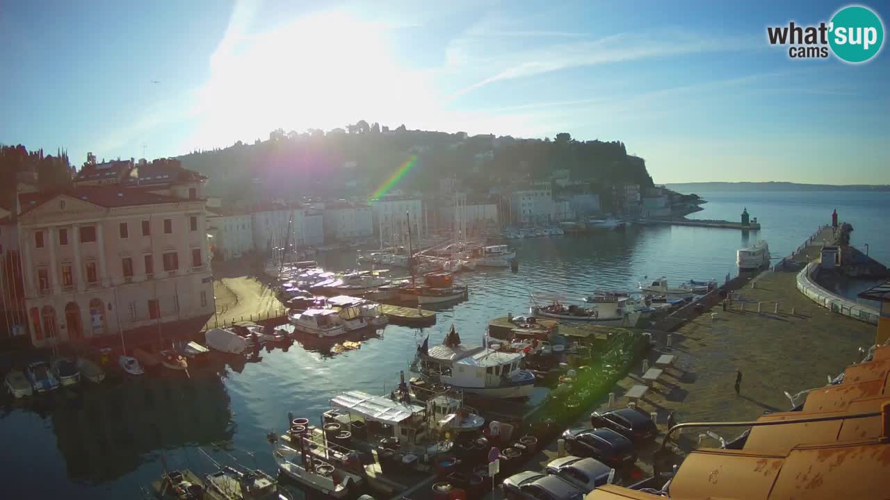 Iz Pirana Spletna kamera v živo “Mandrač” – Neverjeten pogled v živo iz Vile Piranesi