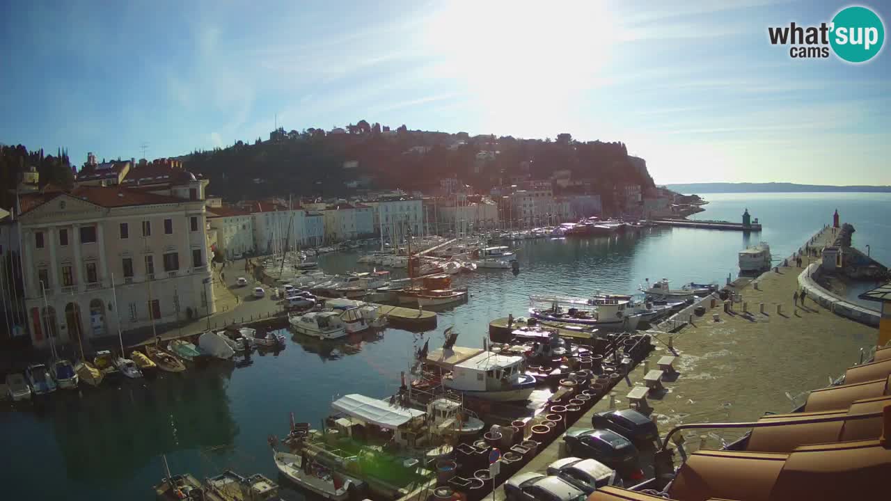 Iz Pirana Spletna kamera v živo “Mandrač” – Neverjeten pogled v živo iz Vile Piranesi
