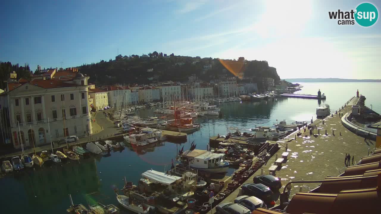 Iz Pirana Spletna kamera v živo “Mandrač” – Neverjeten pogled v živo iz Vile Piranesi