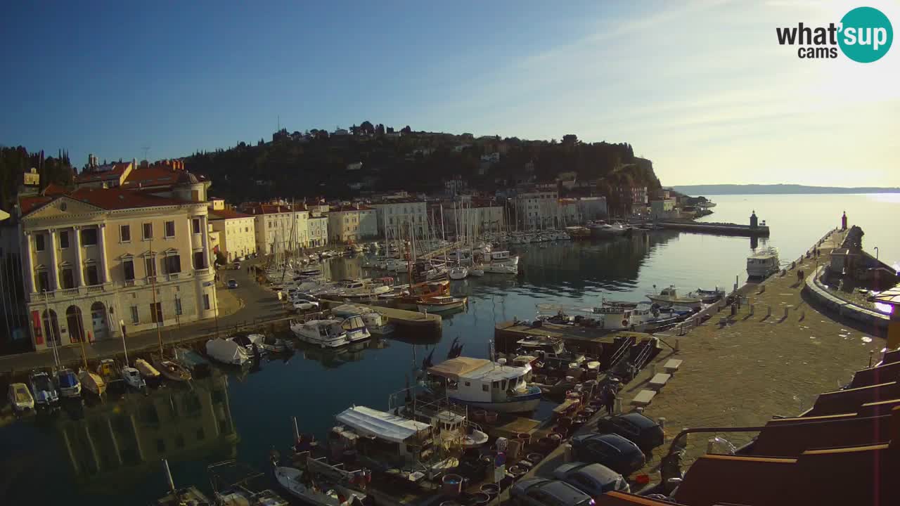 Iz Pirana Spletna kamera v živo “Mandrač” – Neverjeten pogled v živo iz Vile Piranesi
