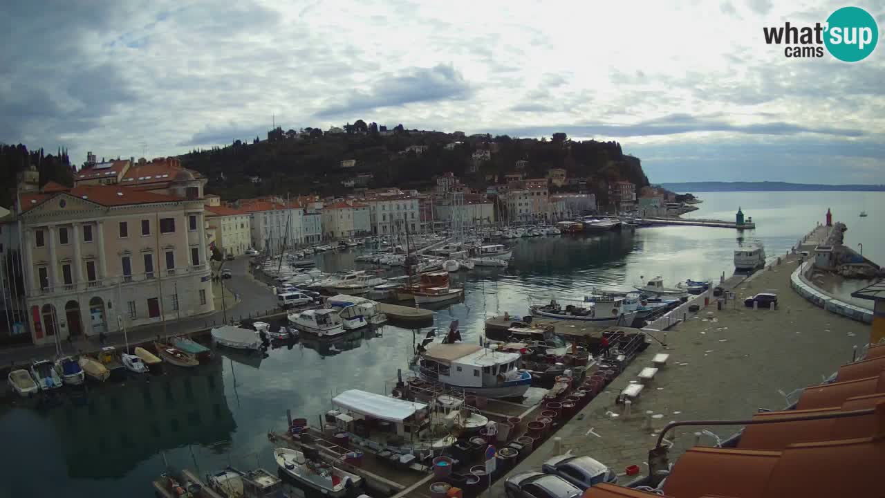 Live webcam from Piran “Mandrač” – Amazing live view from Villa Piranesi