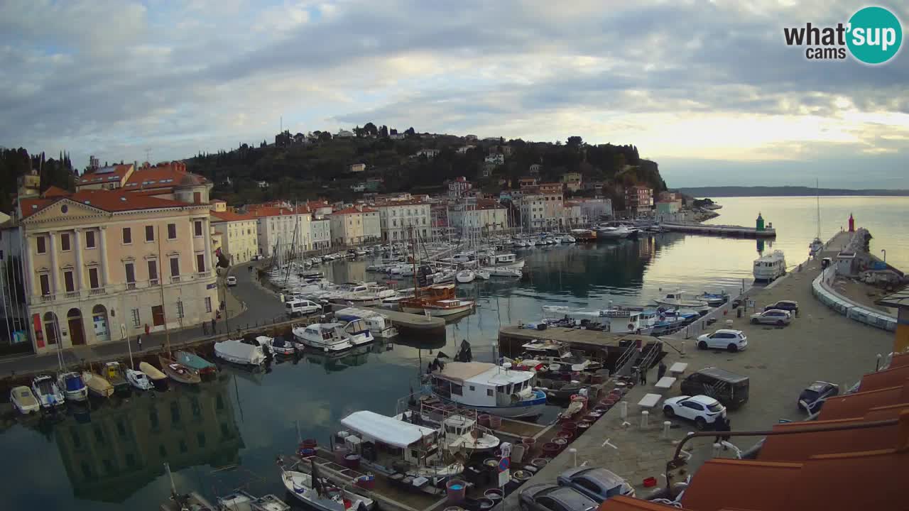 Iz Pirana Spletna kamera v živo “Mandrač” – Neverjeten pogled v živo iz Vile Piranesi