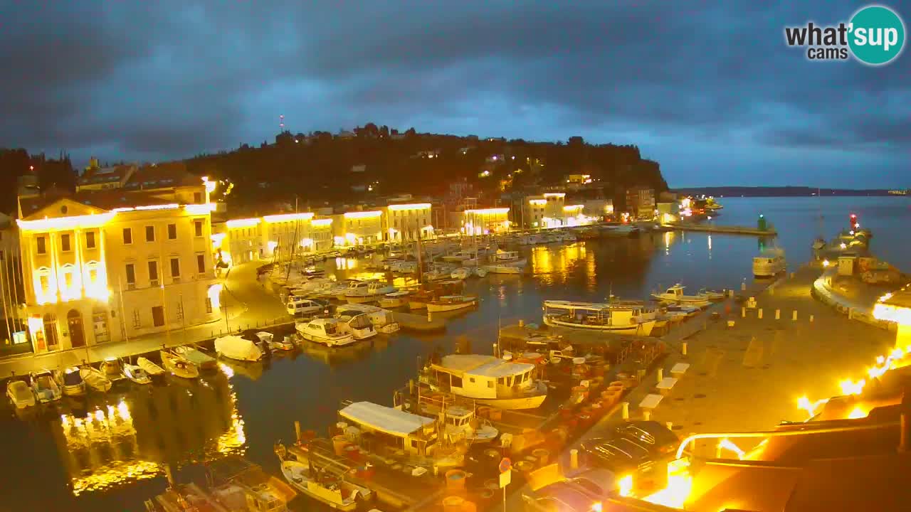 Iz Pirana Spletna kamera v živo “Mandrač” – Neverjeten pogled v živo iz Vile Piranesi