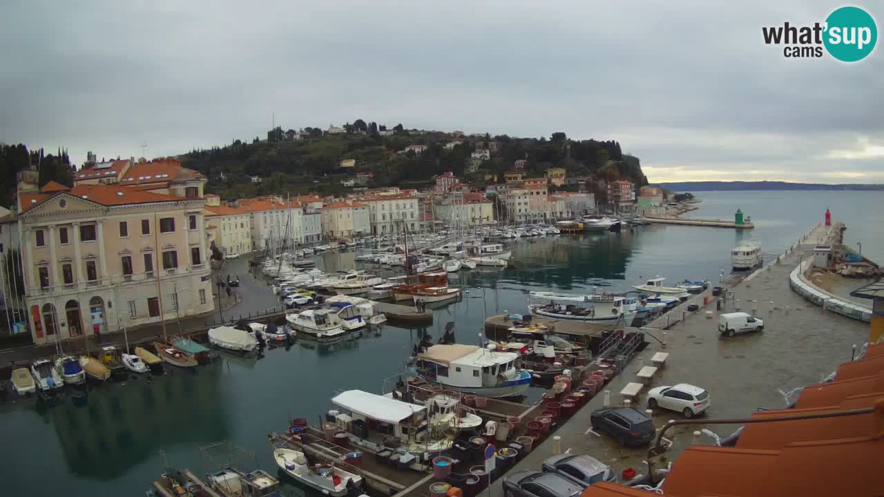 Live webcam from Piran “Mandrač” – Amazing live view from Villa Piranesi