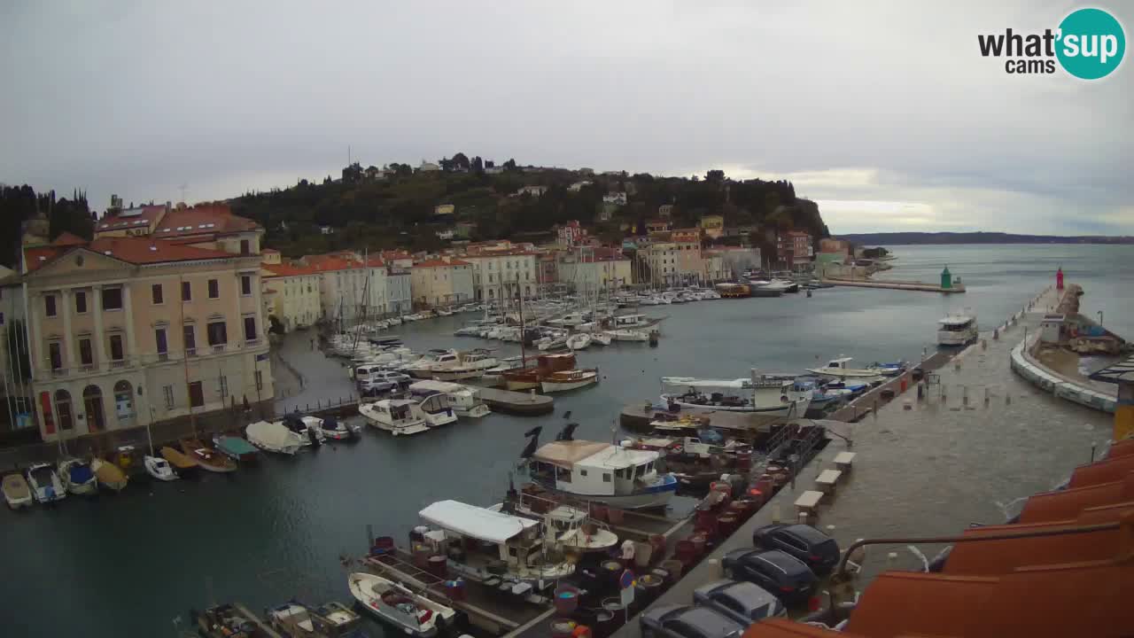 Live-Webcam aus Piran “Mandrač” – Erstaunliche Live-Ansicht von Villa Piranesi