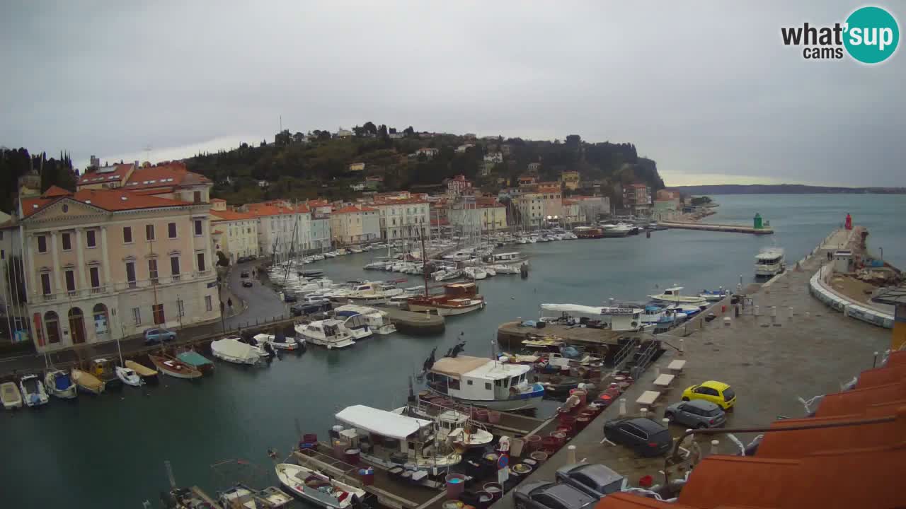Live-Webcam aus Piran “Mandrač” – Erstaunliche Live-Ansicht von Villa Piranesi
