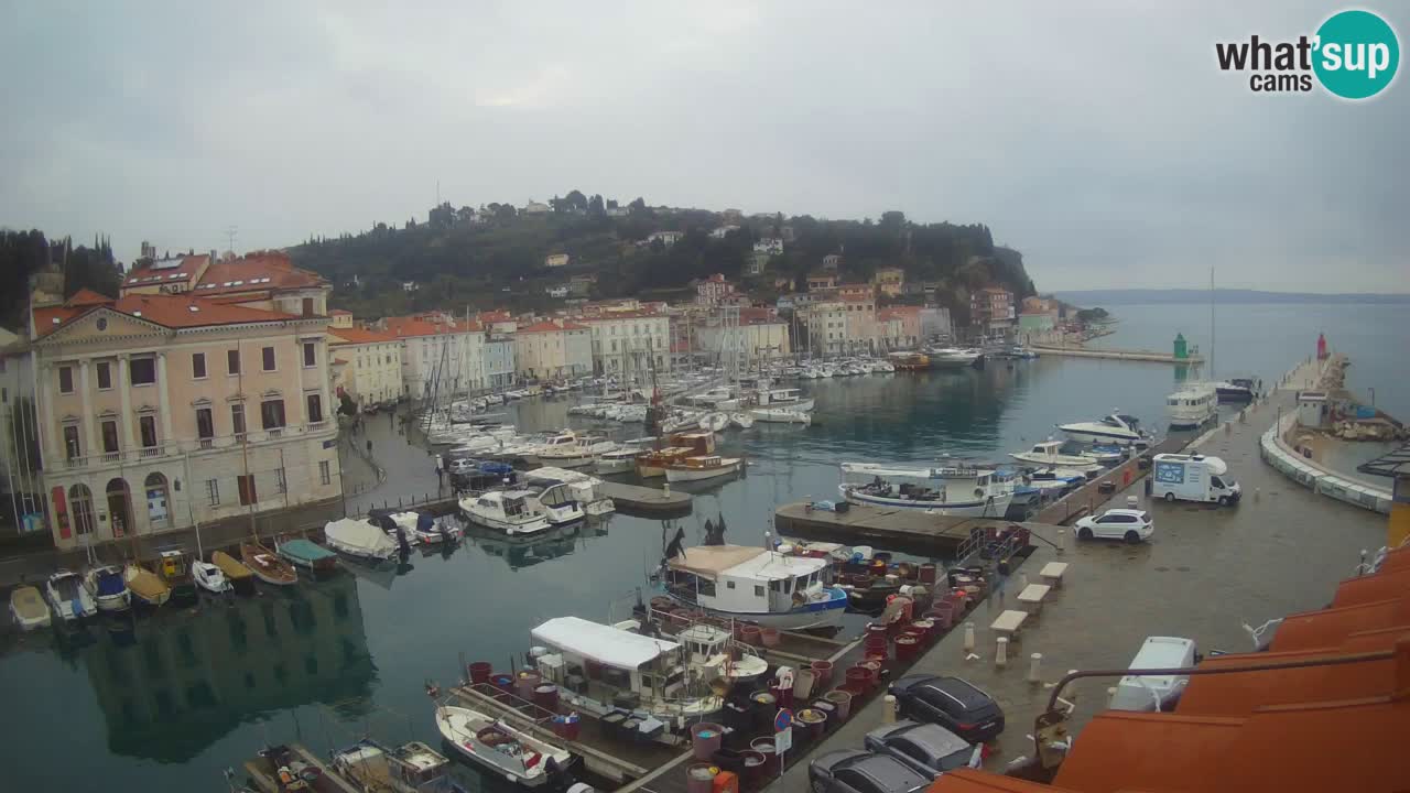 Web kamera uživo iz Pirana “Mandrač” – Nevjerojatan pogled uživo iz Ville Piranesi