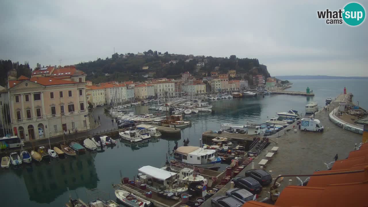Live-Webcam aus Piran “Mandrač” – Erstaunliche Live-Ansicht von Villa Piranesi