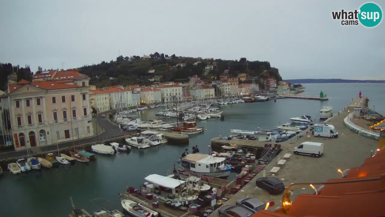 Iz Pirana Spletna kamera v živo “Mandrač” – Neverjeten pogled v živo iz Vile Piranesi