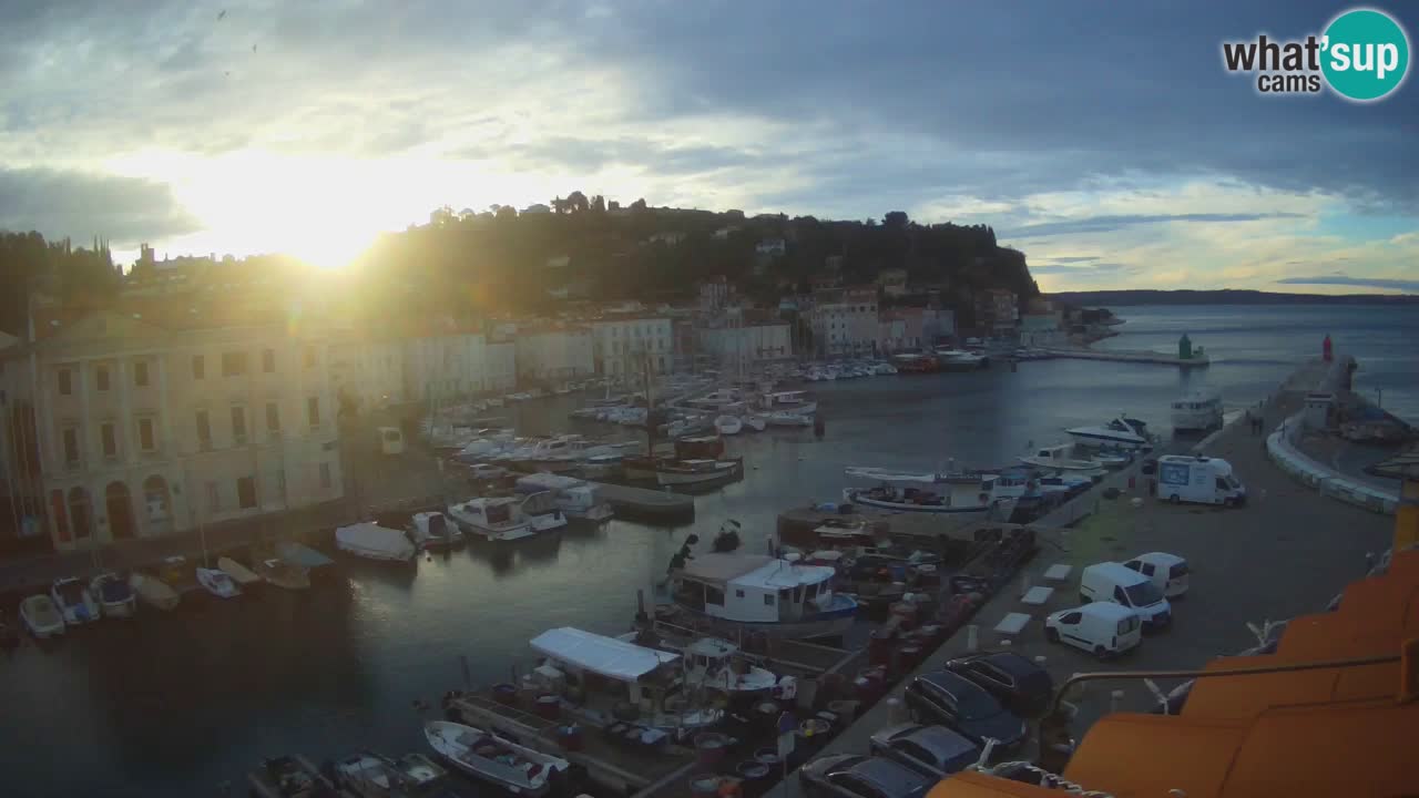 Iz Pirana Spletna kamera v živo “Mandrač” – Neverjeten pogled v živo iz Vile Piranesi