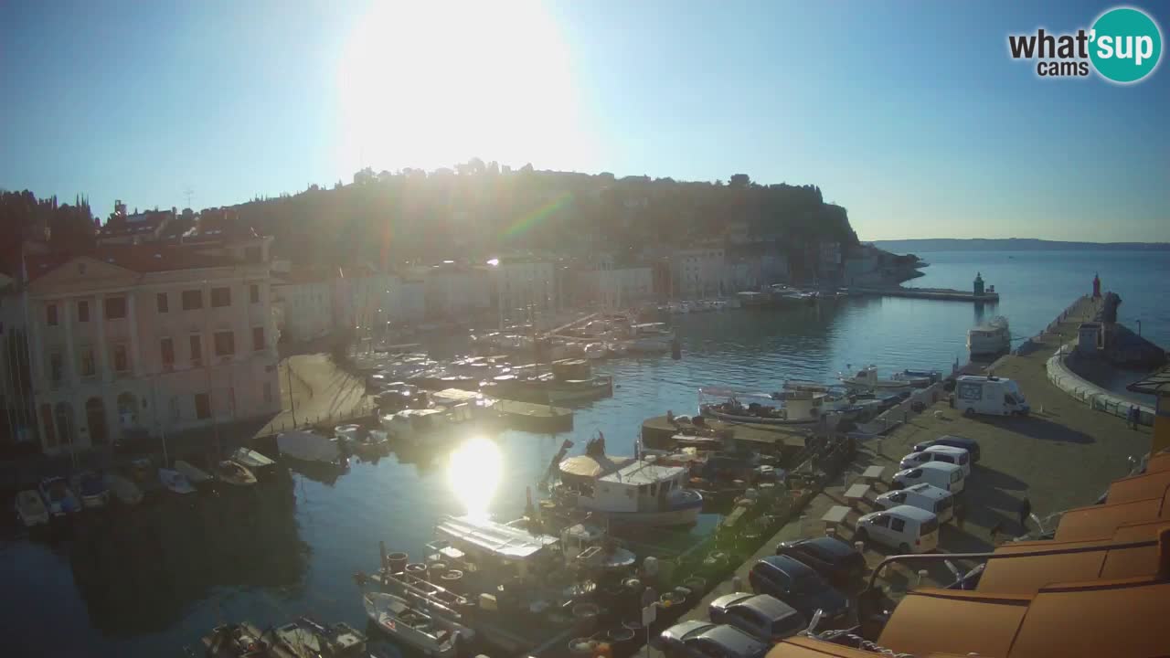 Iz Pirana Spletna kamera v živo “Mandrač” – Neverjeten pogled v živo iz Vile Piranesi
