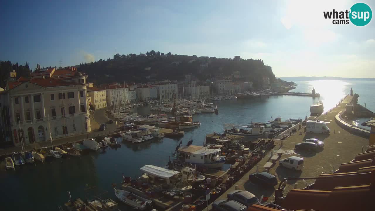 Iz Pirana Spletna kamera v živo “Mandrač” – Neverjeten pogled v živo iz Vile Piranesi