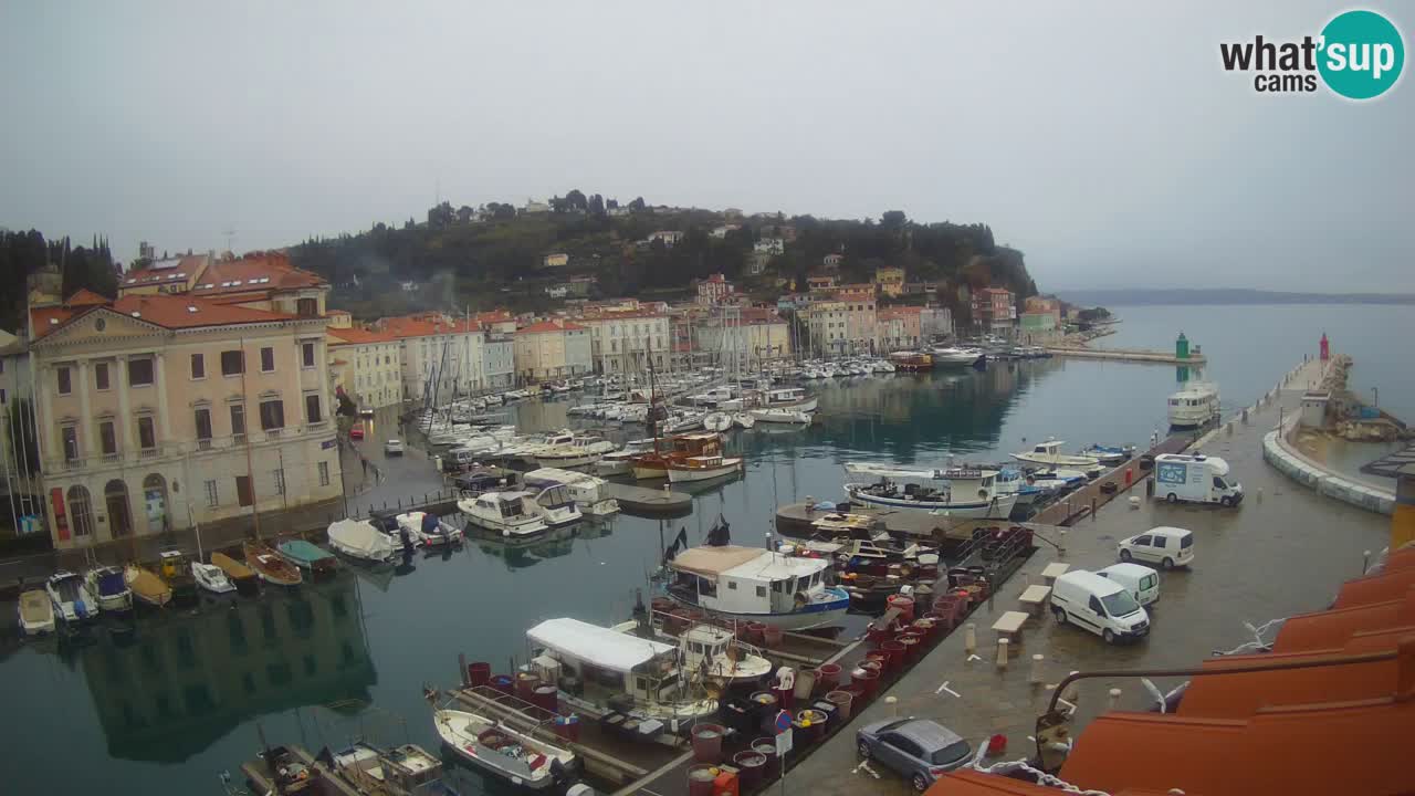 Cámara web en vivo desde Piran “Mandrač” – Increíble vista en vivo desde Villa Piranesi
