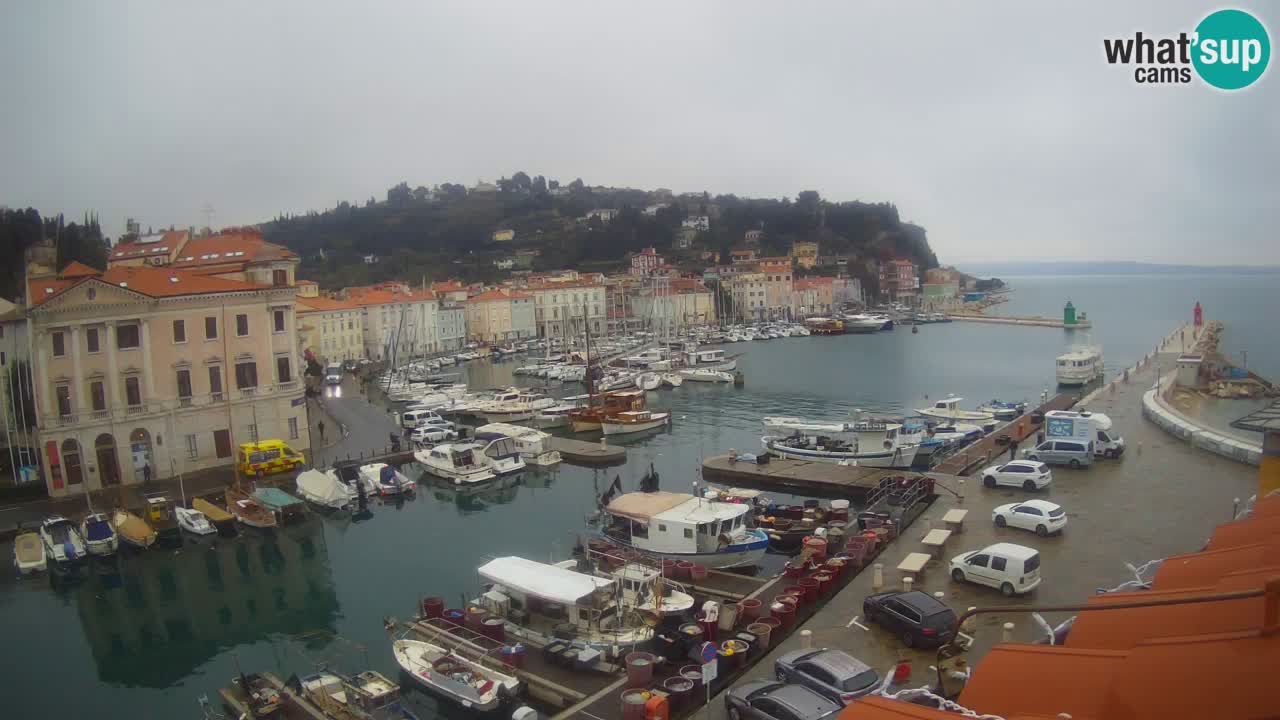 Web kamera uživo iz Pirana “Mandrač” – Nevjerojatan pogled uživo iz Ville Piranesi