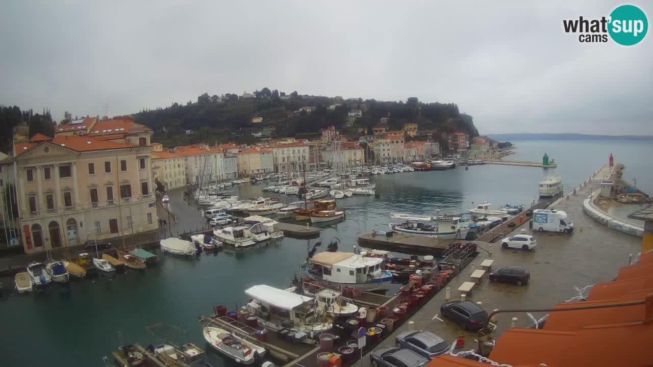 Live webcam da Pirano “Mandrač” – Splendida vista live da Villa Piranesi