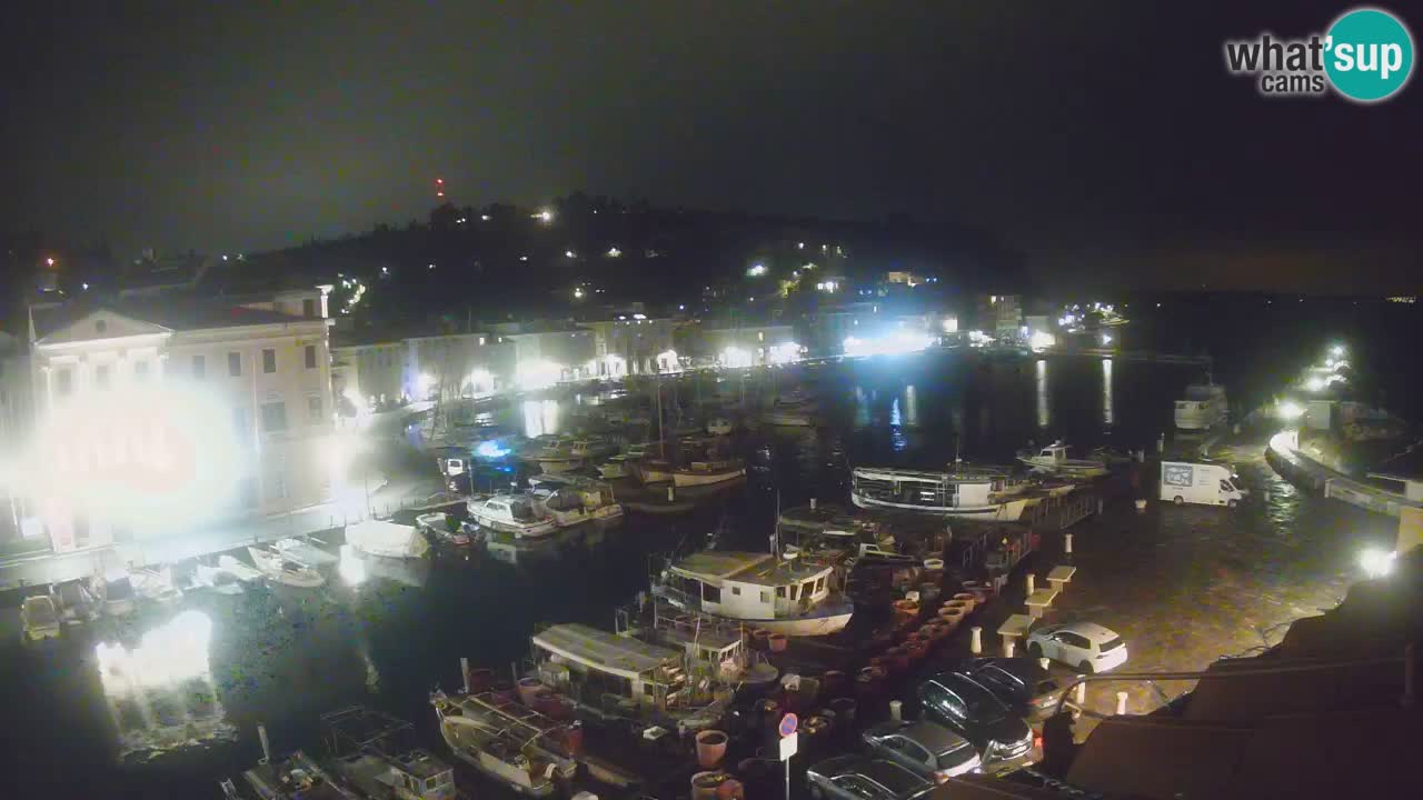 Iz Pirana Spletna kamera v živo “Mandrač” – Neverjeten pogled v živo iz Vile Piranesi