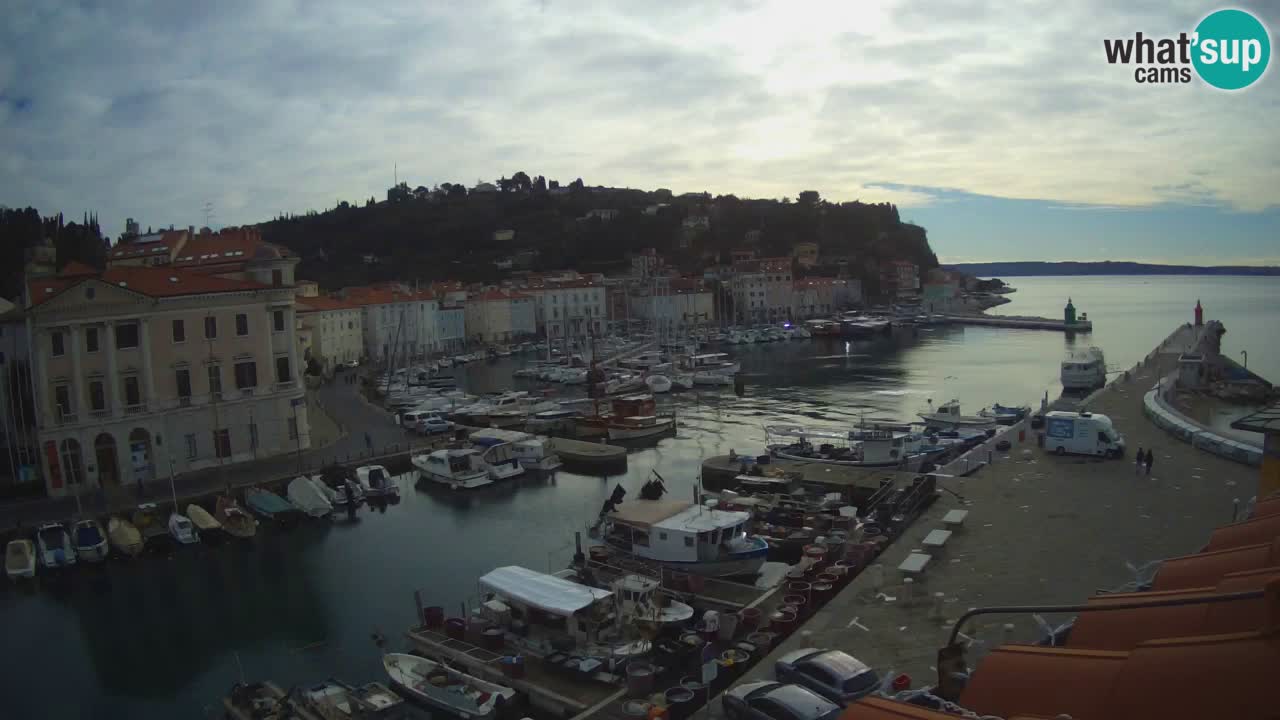 Web kamera uživo iz Pirana “Mandrač” – Nevjerojatan pogled uživo iz Ville Piranesi