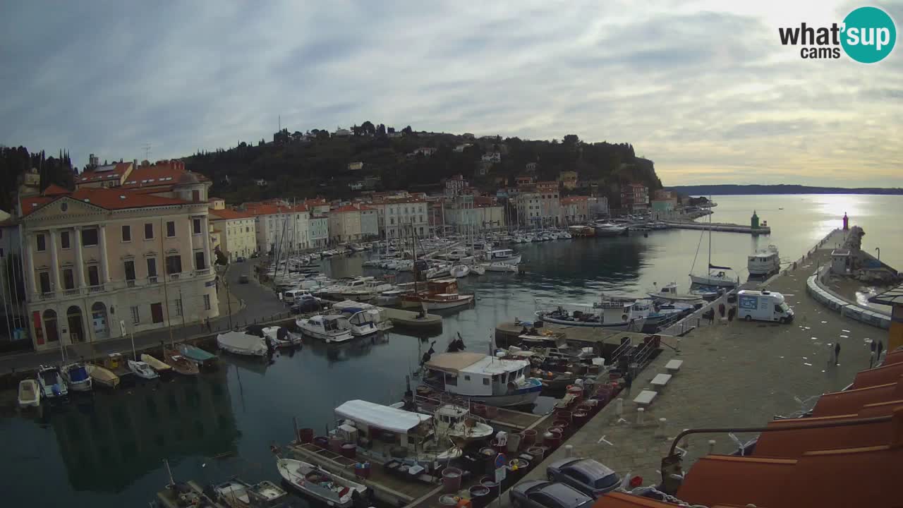 Web kamera uživo iz Pirana “Mandrač” – Nevjerojatan pogled uživo iz Ville Piranesi
