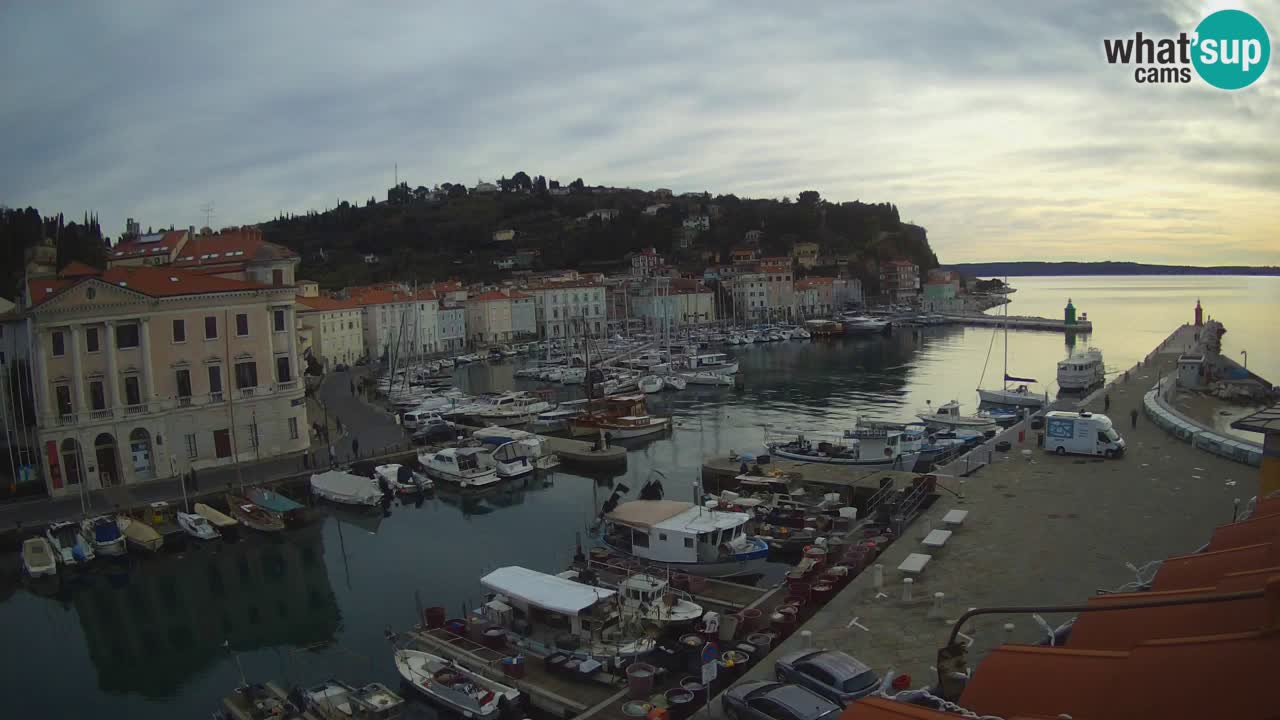 Web kamera uživo iz Pirana “Mandrač” – Nevjerojatan pogled uživo iz Ville Piranesi