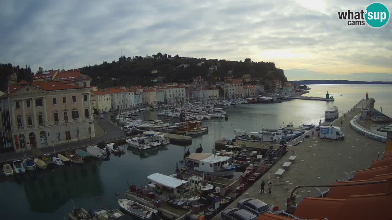 Iz Pirana Spletna kamera v živo “Mandrač” – Neverjeten pogled v živo iz Vile Piranesi