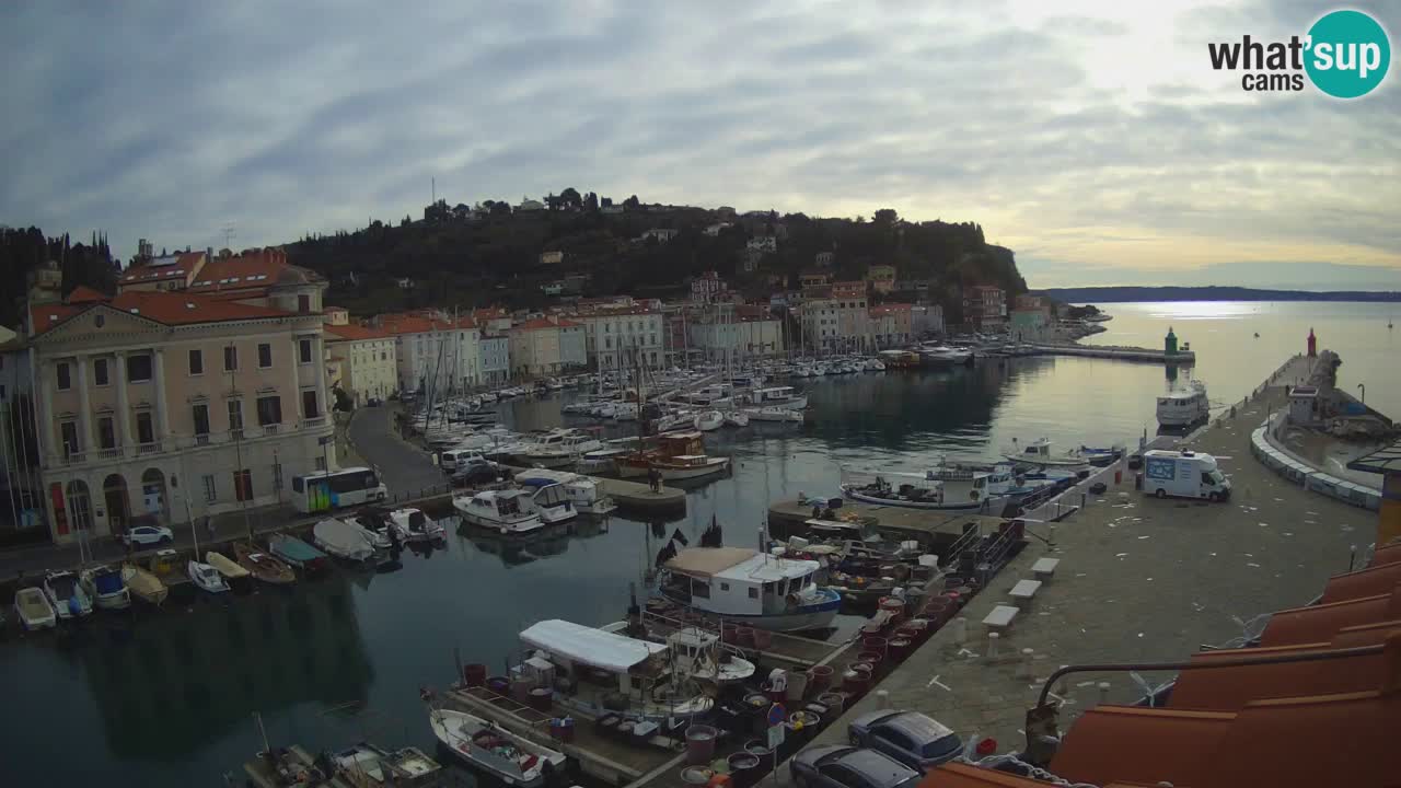 Iz Pirana Spletna kamera v živo “Mandrač” – Neverjeten pogled v živo iz Vile Piranesi