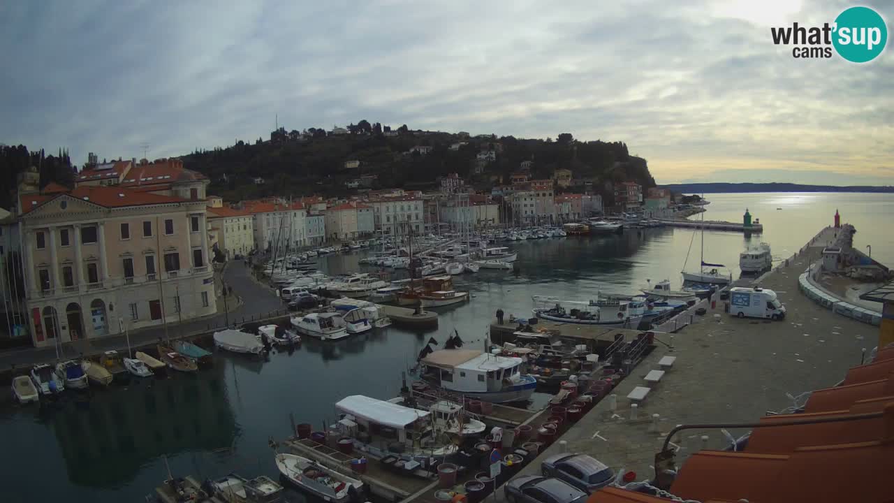 Iz Pirana Spletna kamera v živo “Mandrač” – Neverjeten pogled v živo iz Vile Piranesi