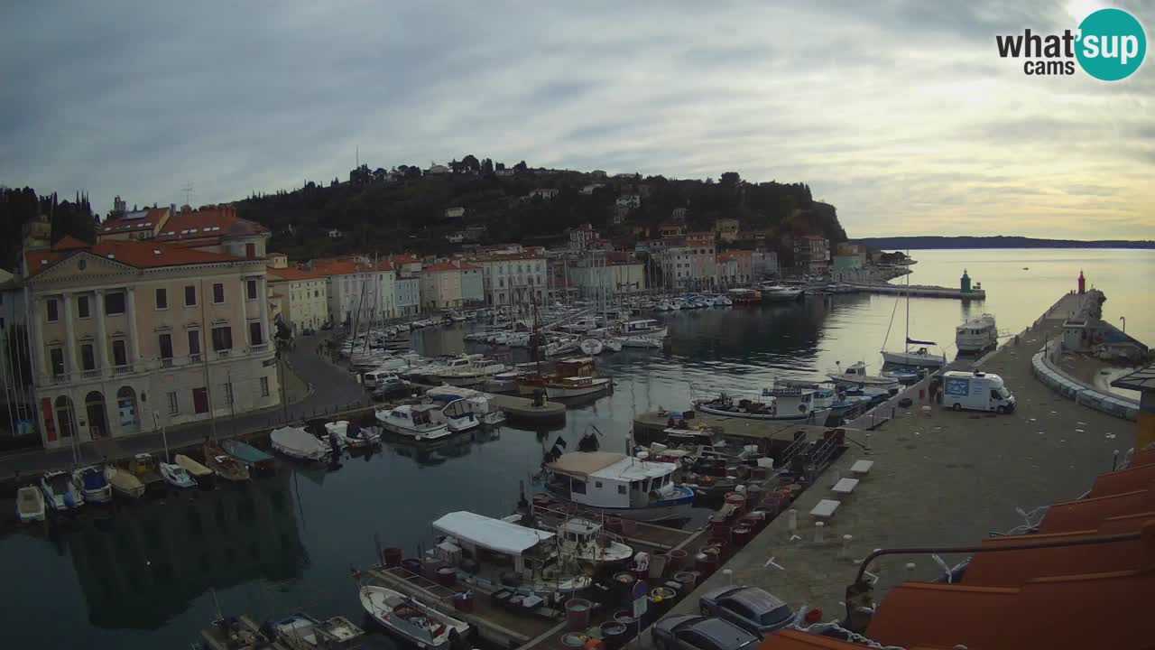 Iz Pirana Spletna kamera v živo “Mandrač” – Neverjeten pogled v živo iz Vile Piranesi