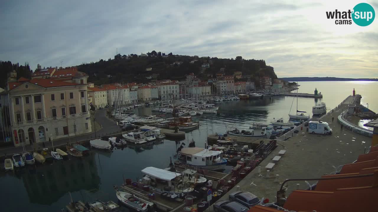 Iz Pirana Spletna kamera v živo “Mandrač” – Neverjeten pogled v živo iz Vile Piranesi